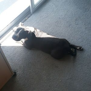 Meet your Posher, Alex